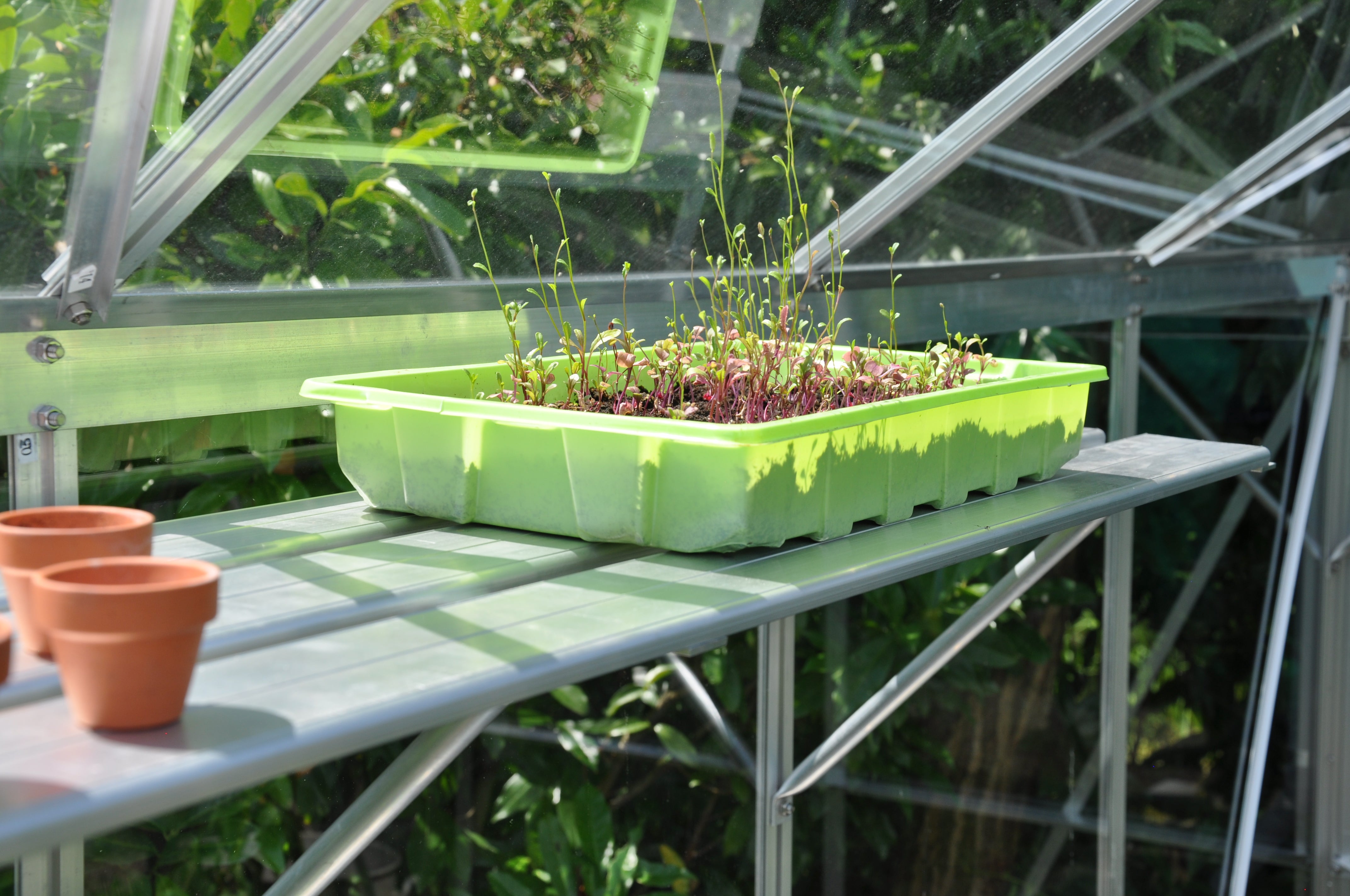 Moestuinbak in kas op kweekschap 