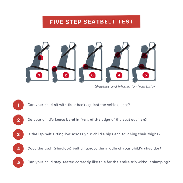 Five Step Seatbelt Test