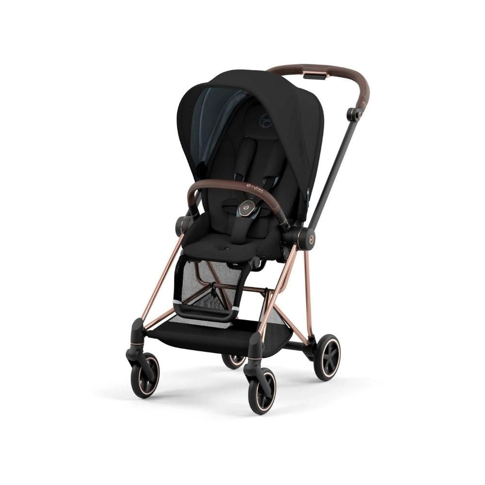 molly dolly twin pram