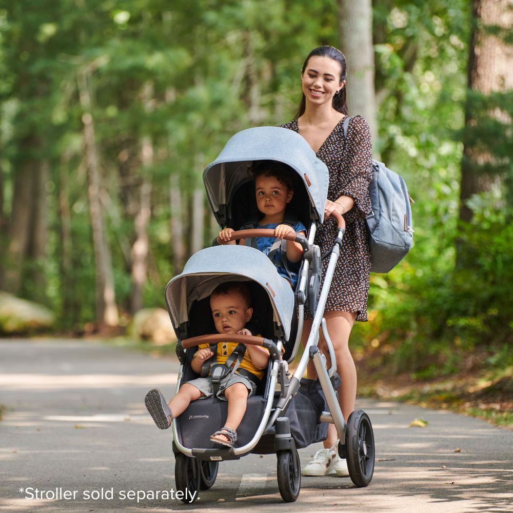 vista stroller rumble seat