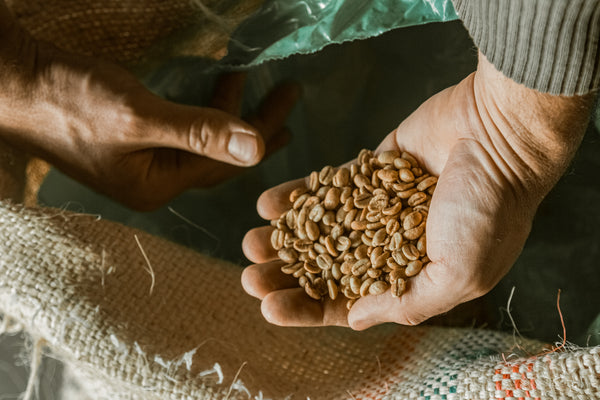 Green Coffee Beans