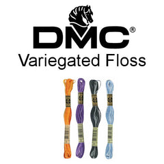DMC Variegated Floss