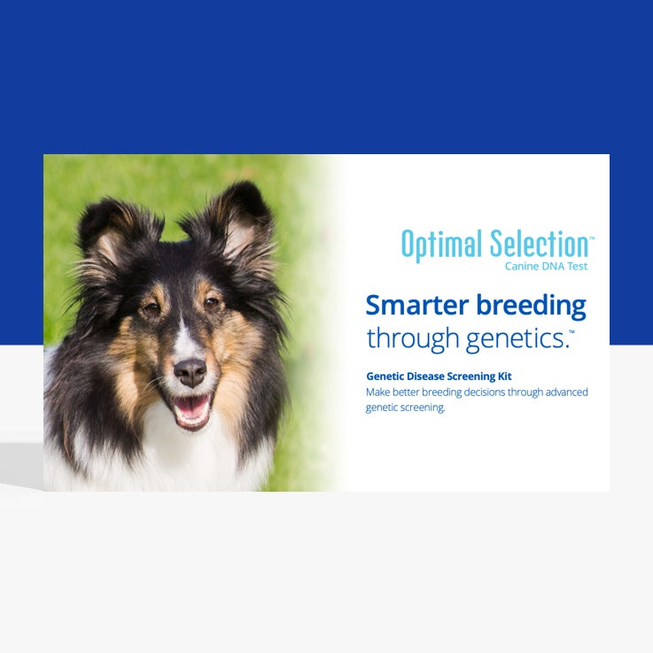 optimal selection canine dna test