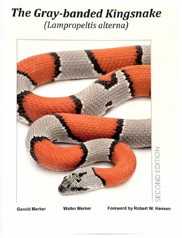 The Complete Children's Python