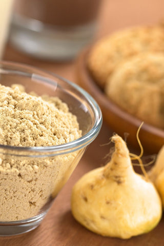 Maca grown from seed in containers with a clear glass bowl of maca powder 