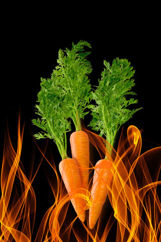 A bunch of Carrots with flames around them too hot to plant carrots