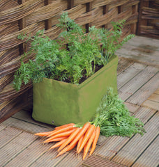 Haxnicks carrot garden planter for container gardening
