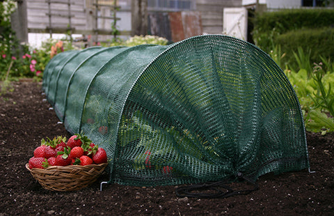 Giant net tunnel garden netting for veg patch