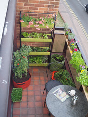 Balcony filled with vegetable planters 