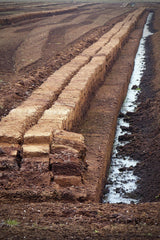 peat cutting ahead of the ban on peat in garden centres 2024