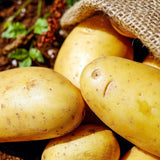 potatoes_in_sack_gardening_advice_how_to_choose_seed_potatoes