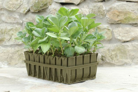 deep rootrainers root trainer plant cells for planting seeds