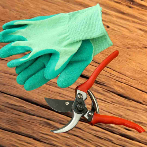 Secateurs and gardening gloves on a table