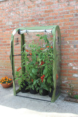 Tomato Crop Booster frame for balcony garden