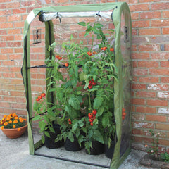 Haxnicks Tomato Crop Booster Frame plant support for growing tomatoes