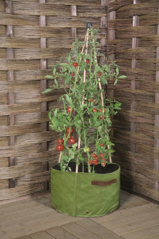 tomato planter for small garden