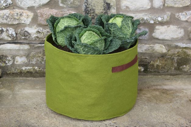 Vigoroot Vegetable planter with veg