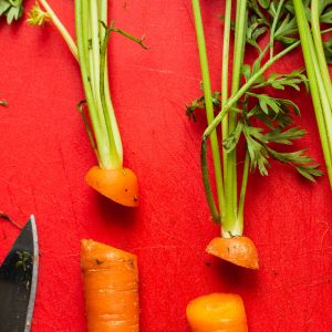 carrot_tops_growing_in_winter_from_leftovers