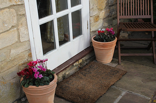 Cyclamen Flower Pots from Haxnicks