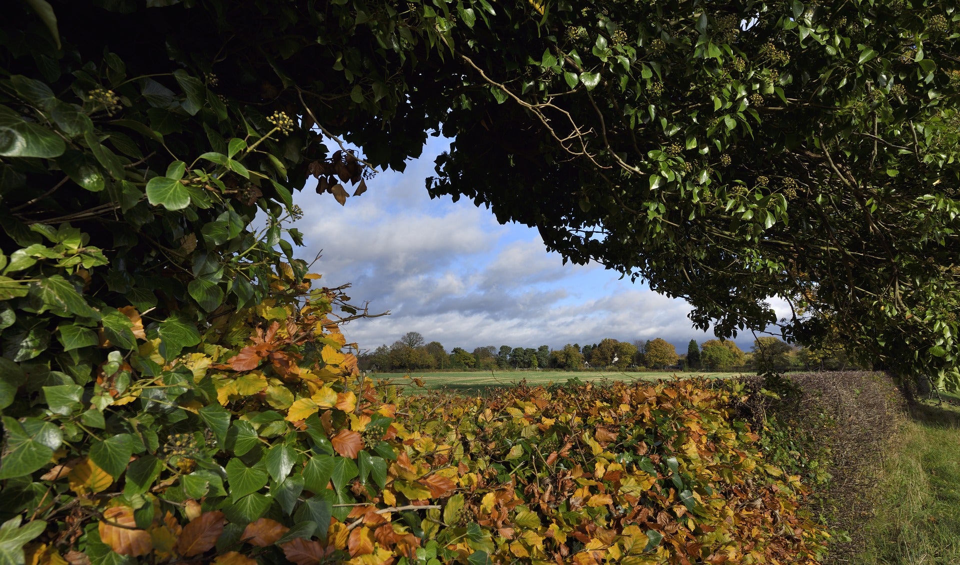 Native hedging 