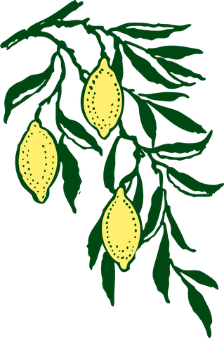 lemon-tree-design