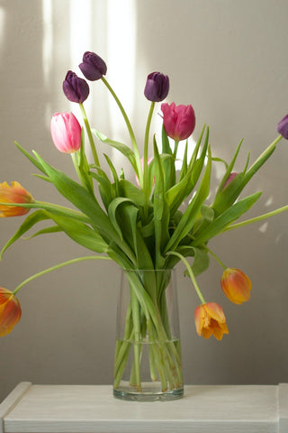 Cut Tulips in a tall vase by  Kim van Vuuren