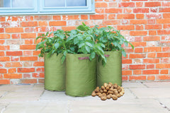 Haxnicks Potato planters for balcony garden