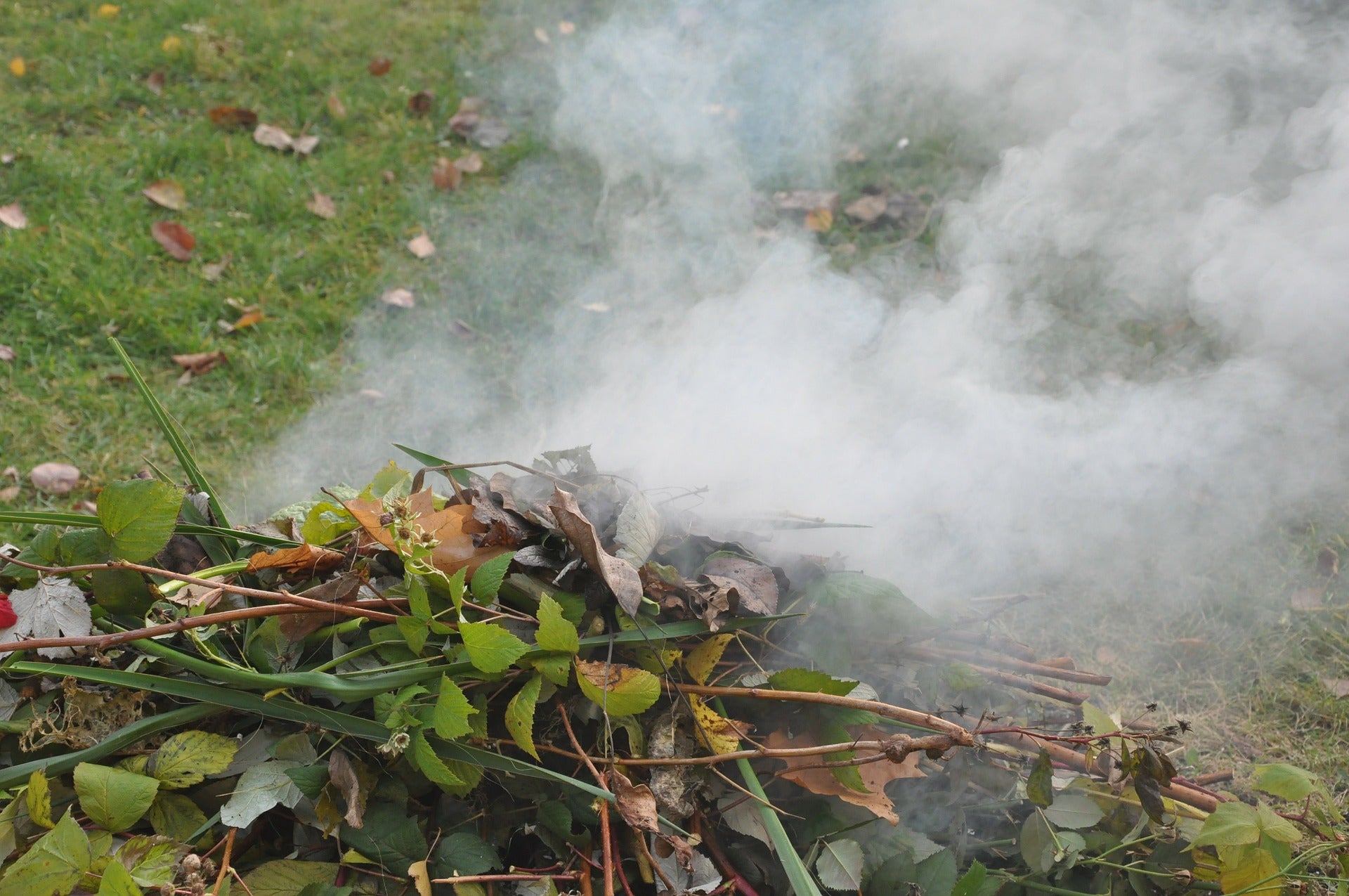 Smoking garden bonfire