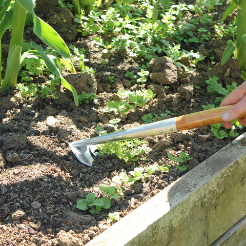 Haxnicks SpeedHoe precision ideal for weeding container beds and cut flower gardens