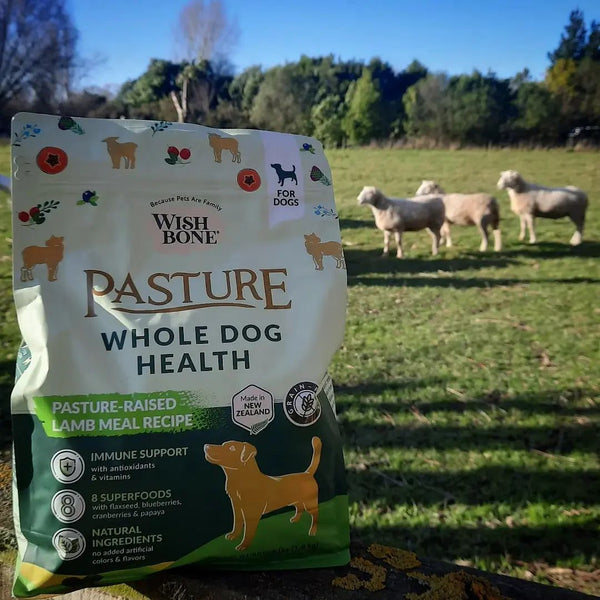 Direct From Our New Zealand Kitchen to Your Home:   A Delicious Solution for Value-Conscious Pet Parents