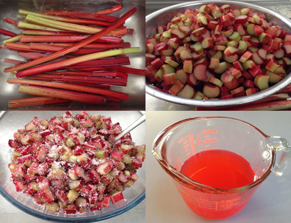 rhubarb shrub