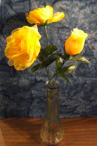 still life rose with blue background