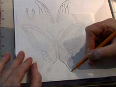 tracing butterfly lines