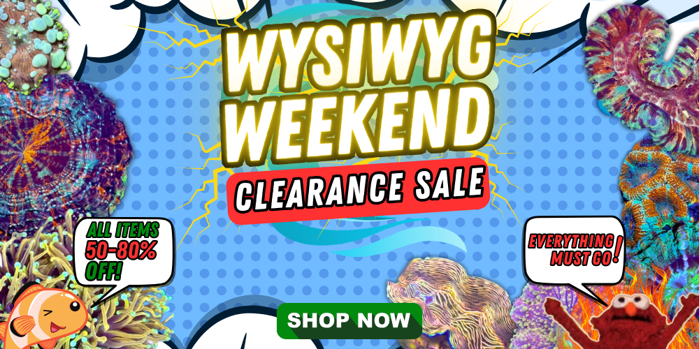 Spring Clearance Sale! Use code SPRING25 and take 25% off your WYSIWYG  Corals! Limited Time!