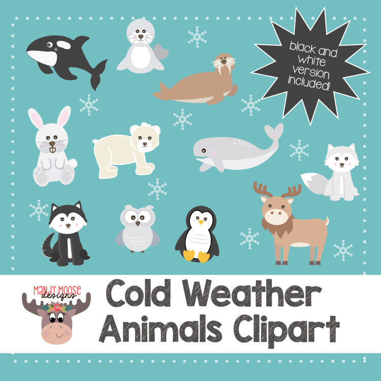 Cold Weather Animals/ Arctic Animals Clip Art- Personal and Commerical –  Mandy Moose Designs