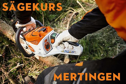 STIHL MS 162  Schweihofer — Schweihofer - Die STIHL Experten.