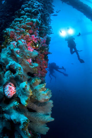 Oil Rig Artificial Reef