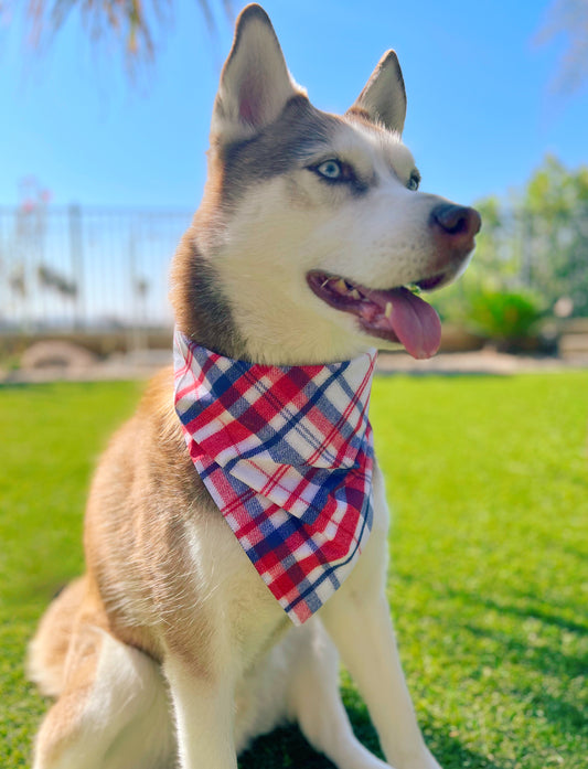 ST. LOUIS CARDINALS Dog Bandana Major League Baseball Pet Scarf