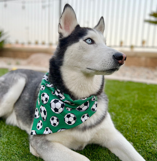 Kentucky - Louisville Red Toss Football — Personalized Dog Bandanas