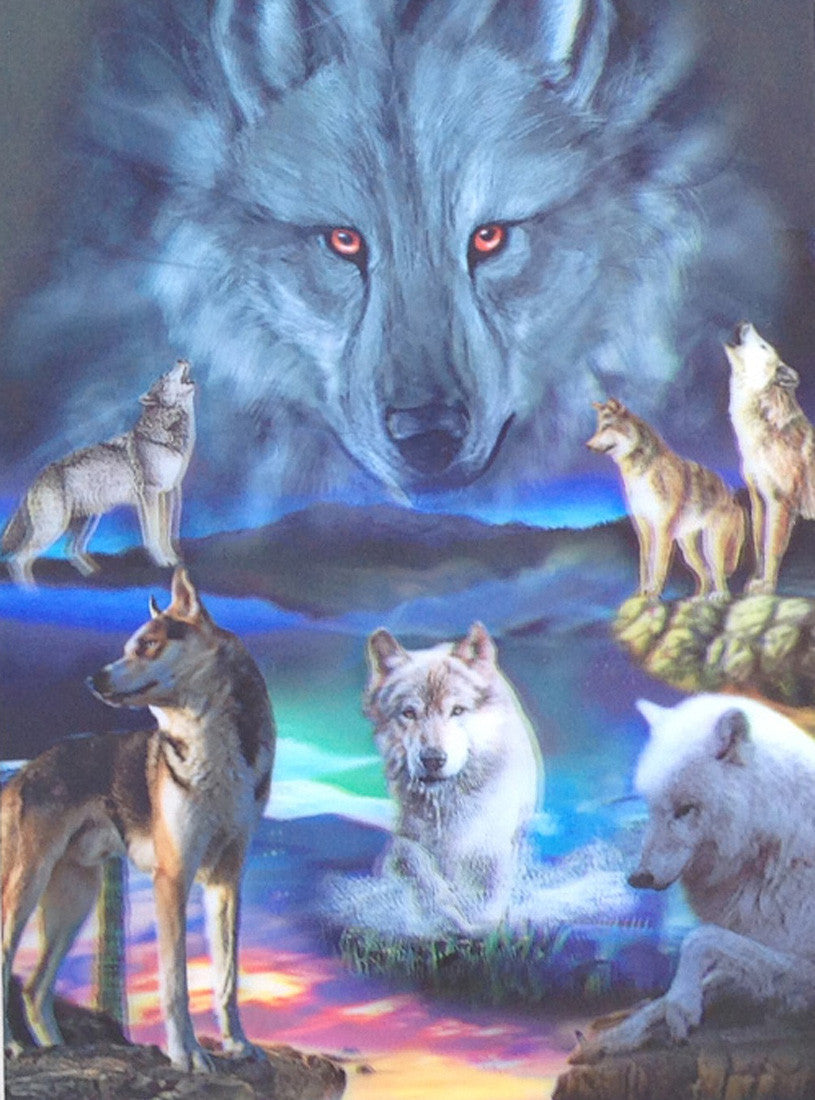  Wolf Color  3D Picture Matted or Framed 3DDDpictures com