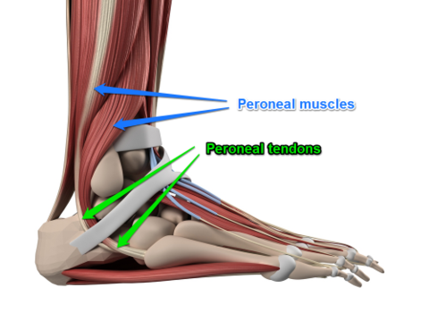 outside of the foot pain