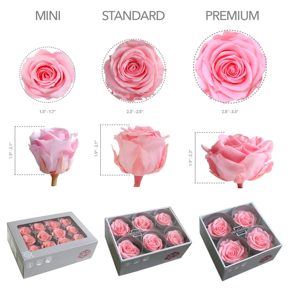 Red Rose Size Chart