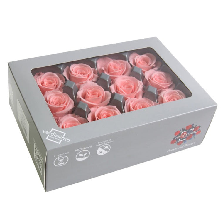 Shop Preserved Roses - Preserved Mini Size Roses - Verdissimo USA |  Verdissimo USA