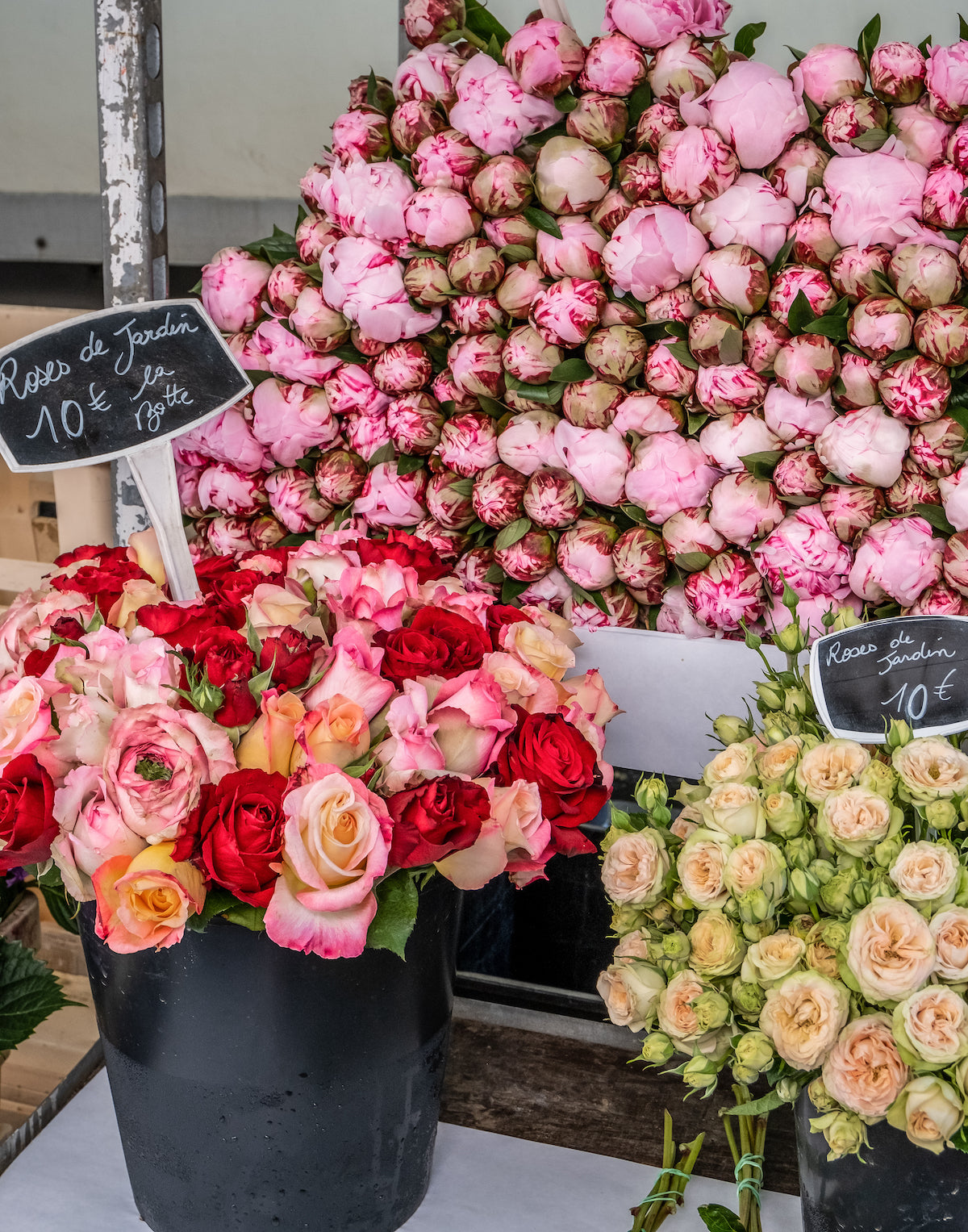 Peonies and Garden Roses at the Marché - Paris Photography– La Porte Bonheur