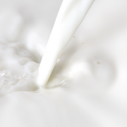 Organic Whole Milk image