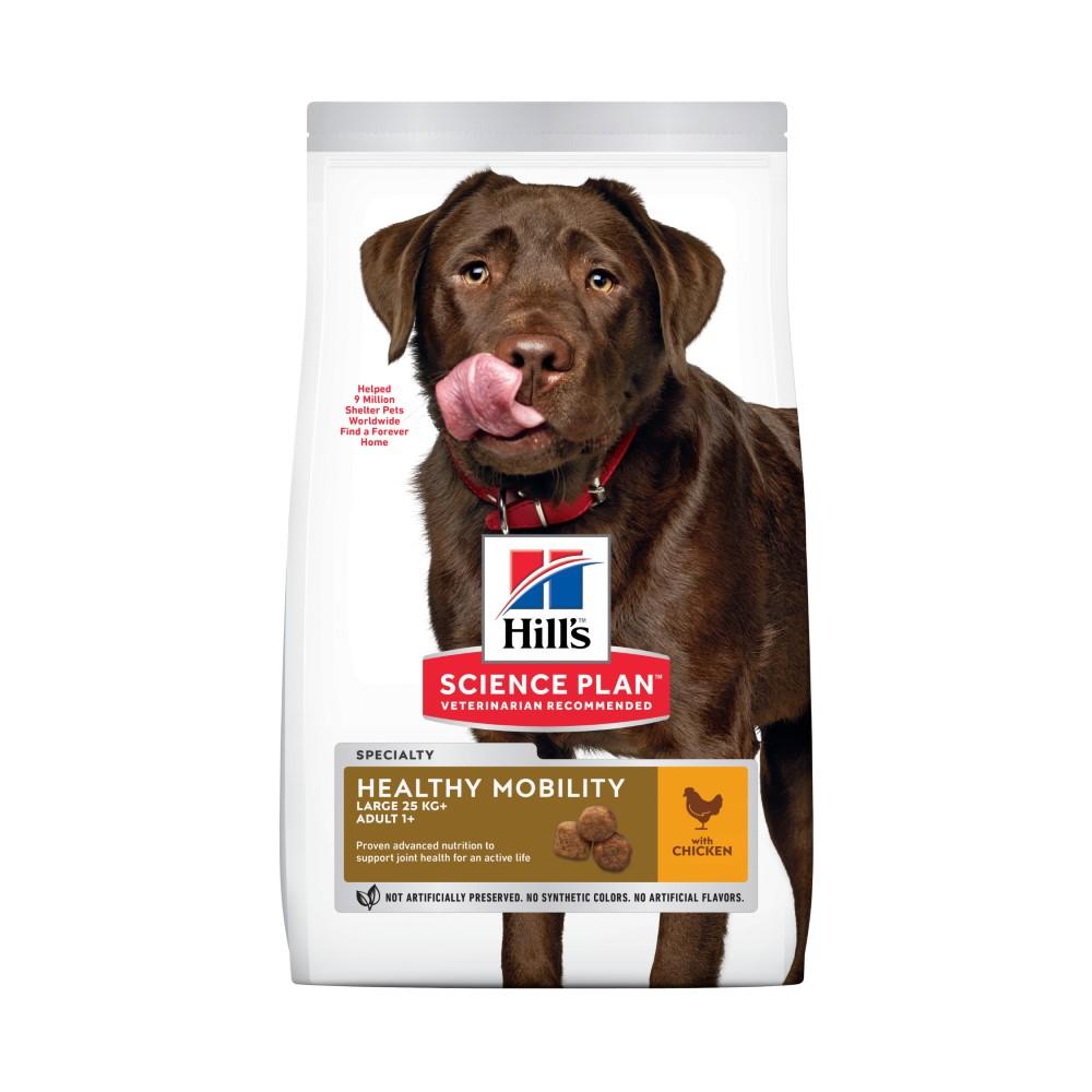 hills dog food online