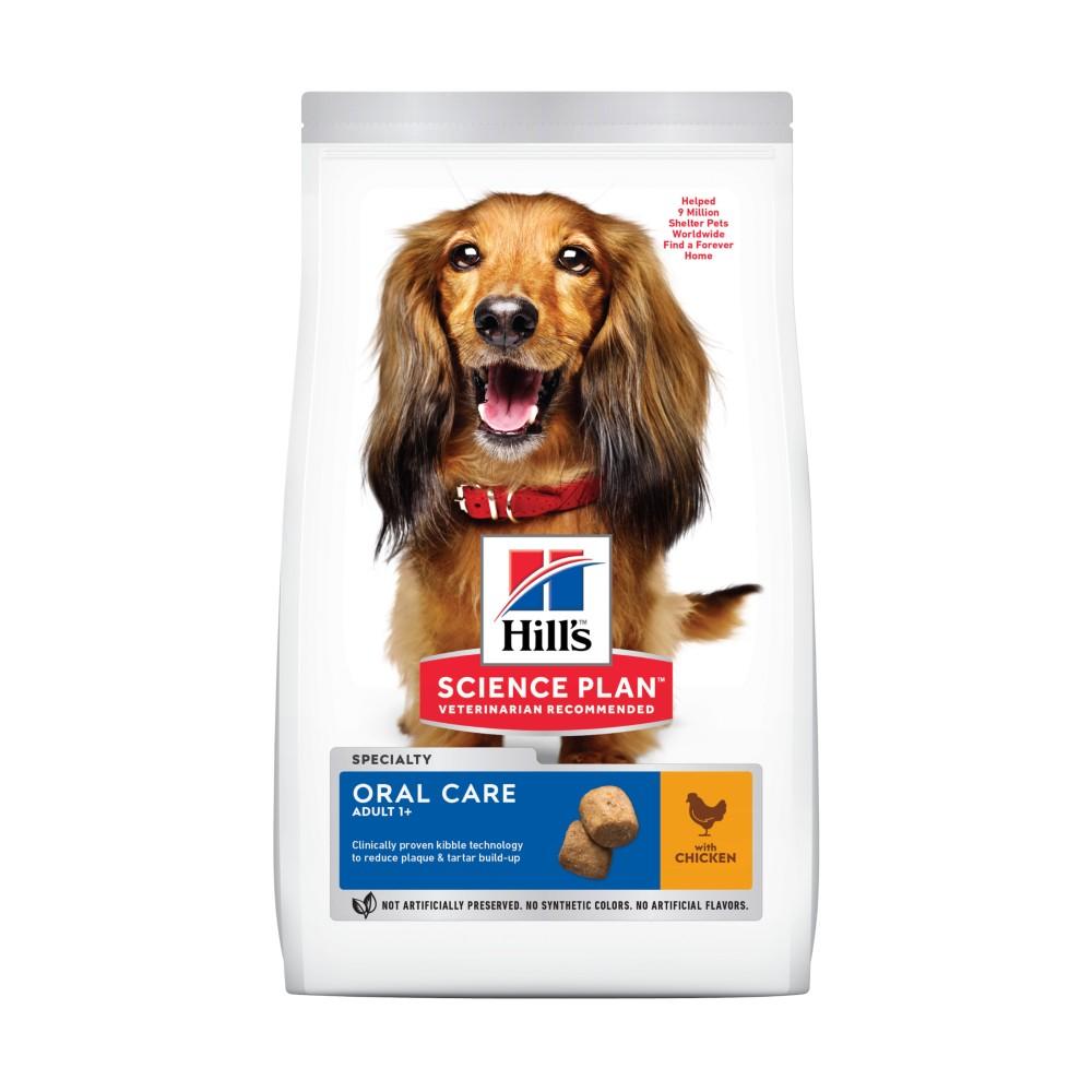 hills dog food online