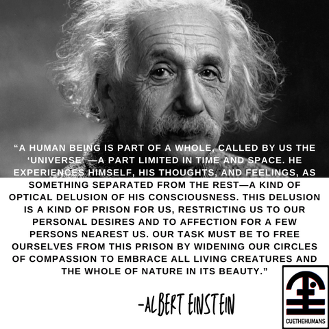 Albert Einstein Quote