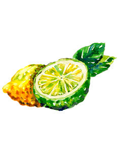 Bergamot