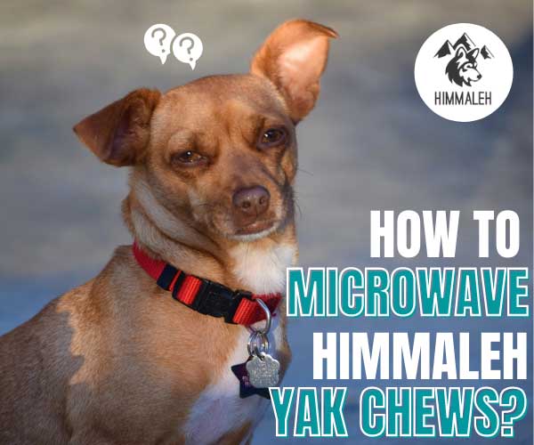 are himalayan yak chews safe for dogs